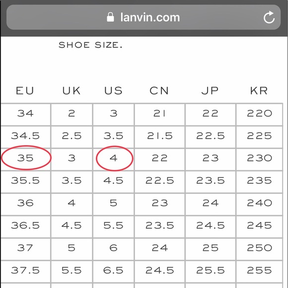 ๐ HP๐ Lanvin Pebbled Leather Ballet Flats - Picture 6 of 6